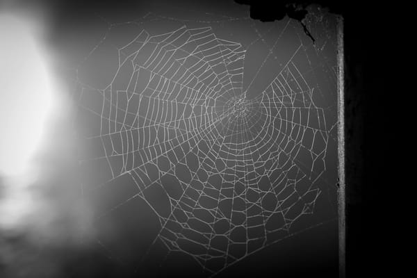 The Dark Web, Demystified: Beyond the Shadows of Tor